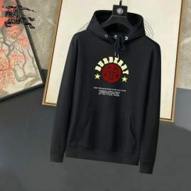 Picture of Burberry Hoodies _SKUBurberryM-3XL25tn021710